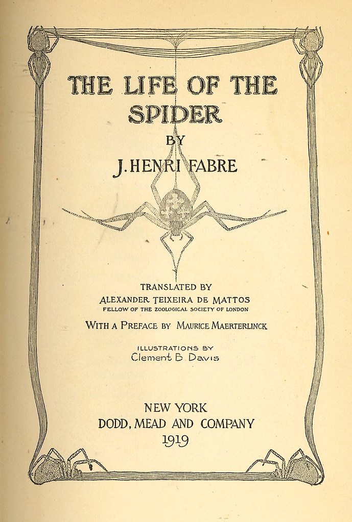 The Life of the Spider